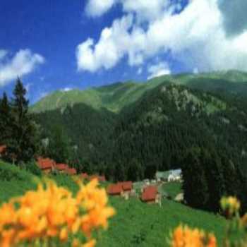 Yaylalar Köyü Artvin