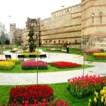 Yedikule Soğanlı Bitkiler Pakı İstanbul