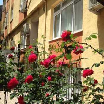  Yılmaz Apart İstanbul Sultanahmet / İstanbul