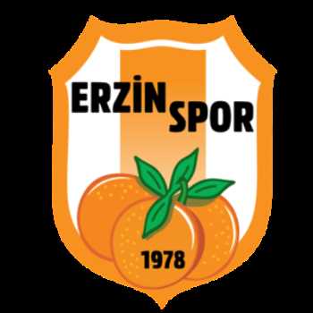 Erzinspor